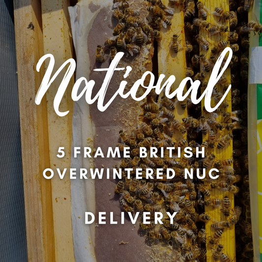 5 Frame Overwintered Nuc - National Delivery Late June