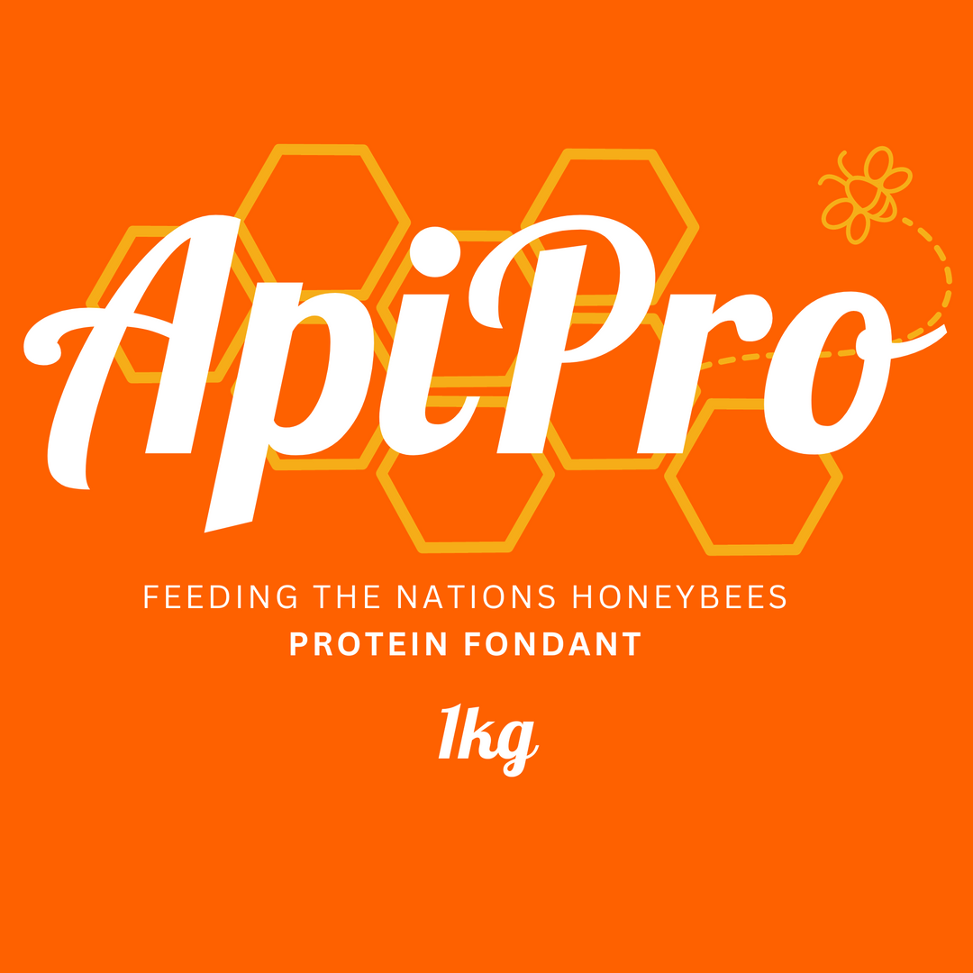 ApiPro Protein Fondant - 1kg - November Delivery