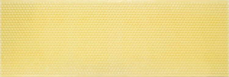Langstroth Beeswax Coated Plastic Foundation, Super, 10 Pack