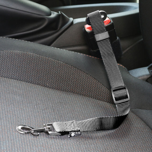Dog Seat Belt Restraint - For Harnesses