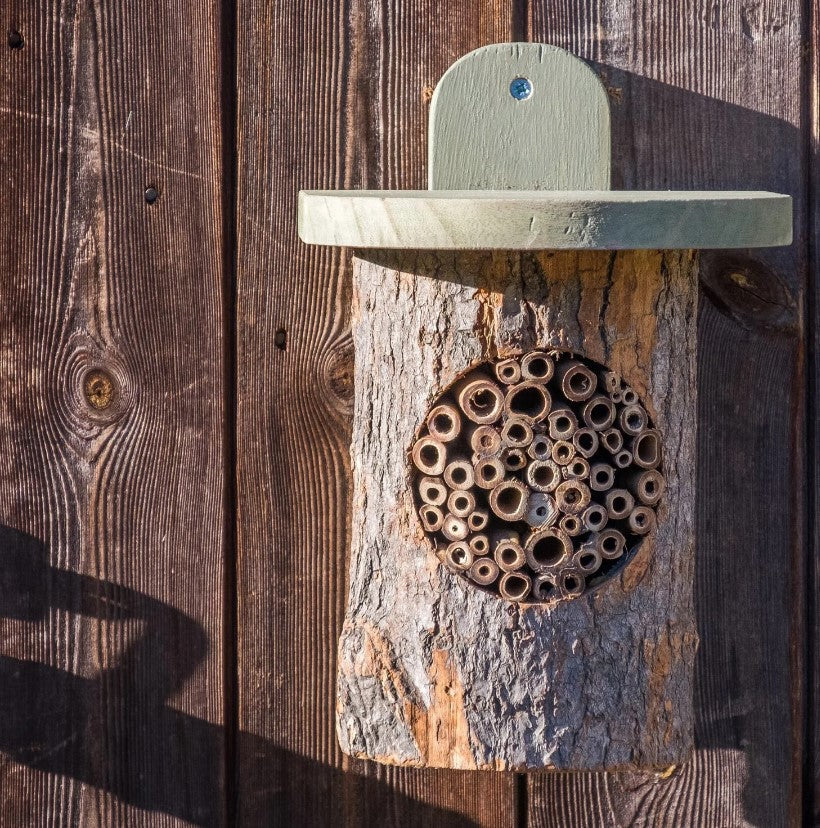 Natural Log Bee Home