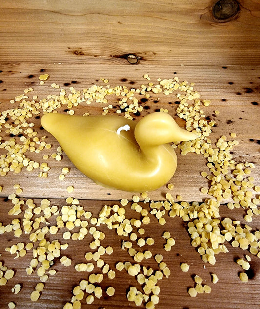Sitting Duck Mould