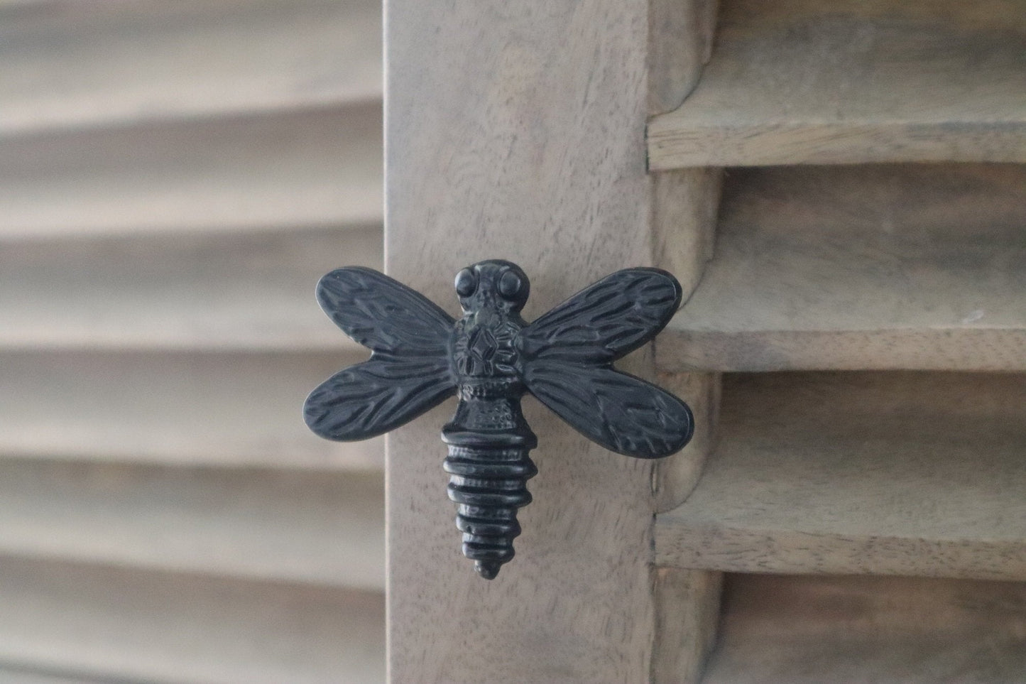Drawer Knob Dragonfly - Black Finish