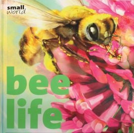 Bee Life - Bee Equipment