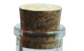 Cork for 8oz Muth Jar, 12 Pack - Bee Equipment