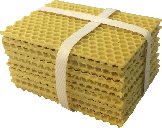 Beeswax Coated Plastic Foundation for Mini Mating Nucs 10pk - Bee Equipment