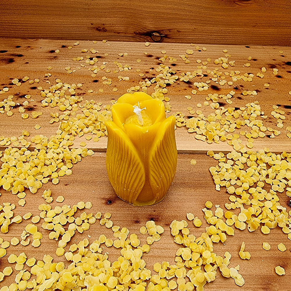 Tulip Candle Mould