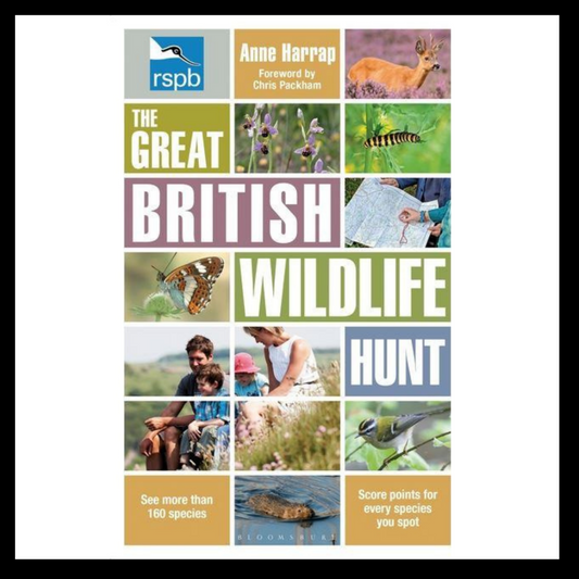 RSPB Great British Wildlife Hunt