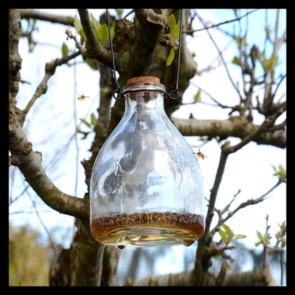 Clear Glass Wasp Trap