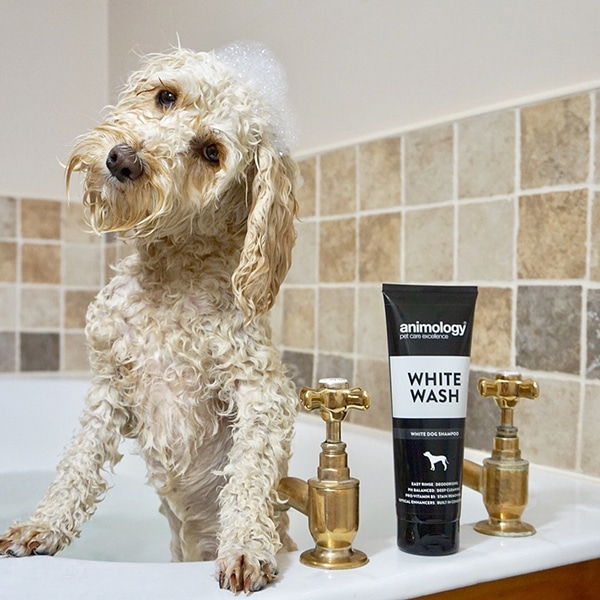 Dog shampoo for white hot sale dogs