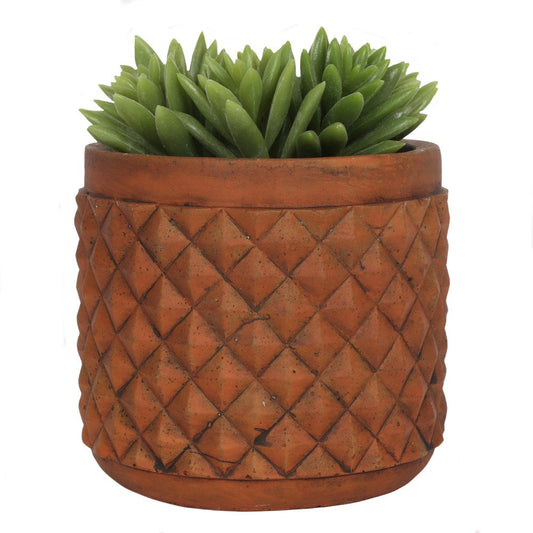Rustic Terracotta Plant Pot