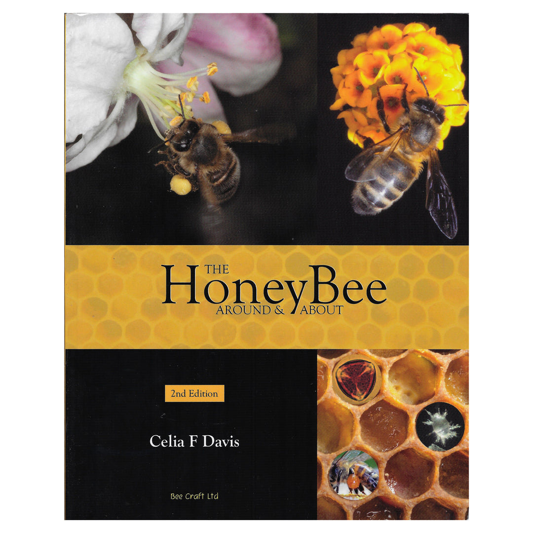 The Honey Bee Around & About