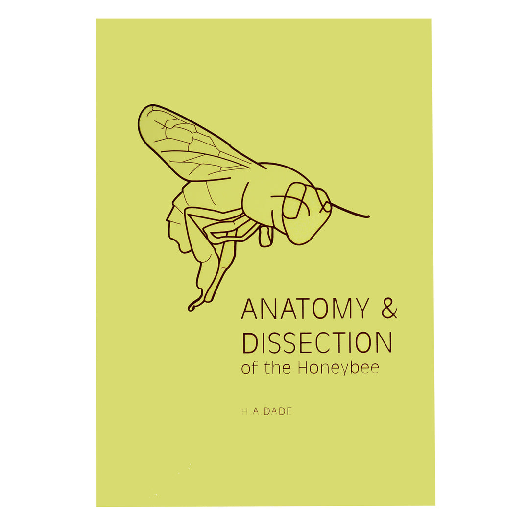 Anatomy & Dissection of the Honeybee - Bee Equipment