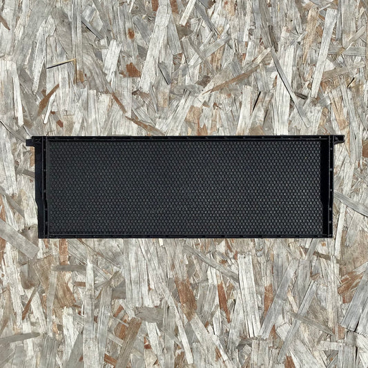 Langstroth Super Standard Plastic Frame Black, Single