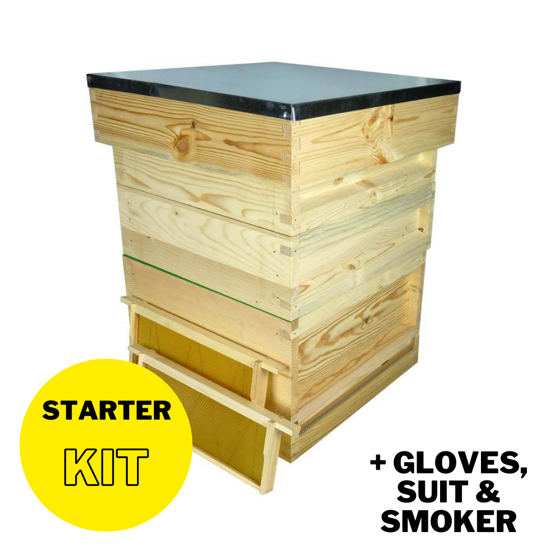 National Complete Starter Hive Kit, Pine